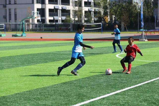 文班亚马全票当选年度最佳新秀 场均21+11+4+4